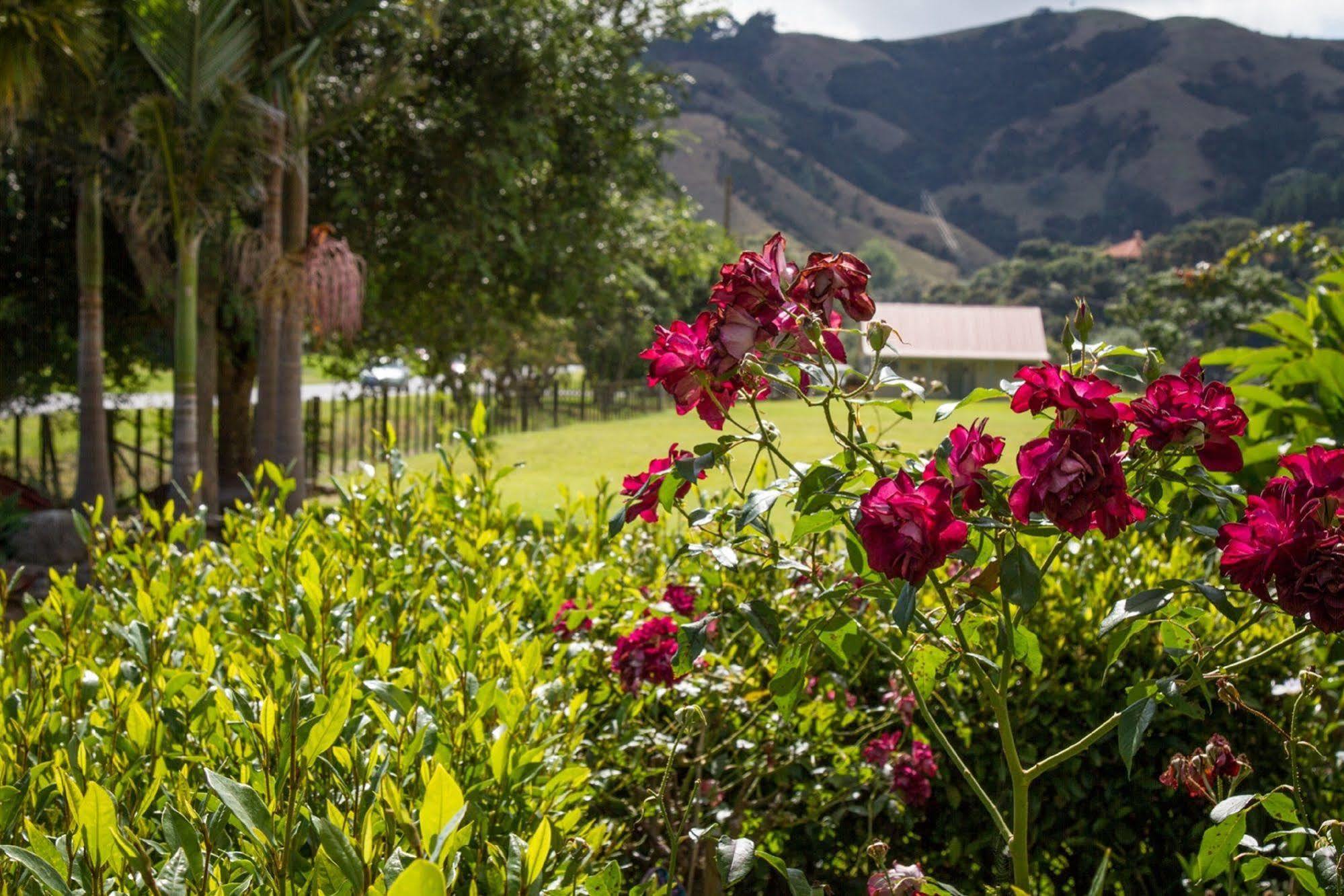 Taigh Na Mara Bed And Breakfast Whitianga Luaran gambar